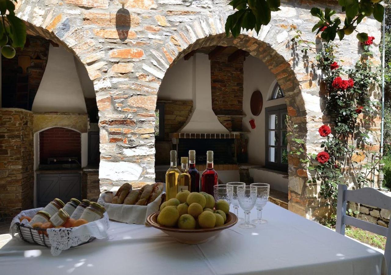 Romano garden house - land tales Agios Romanos Exterior foto