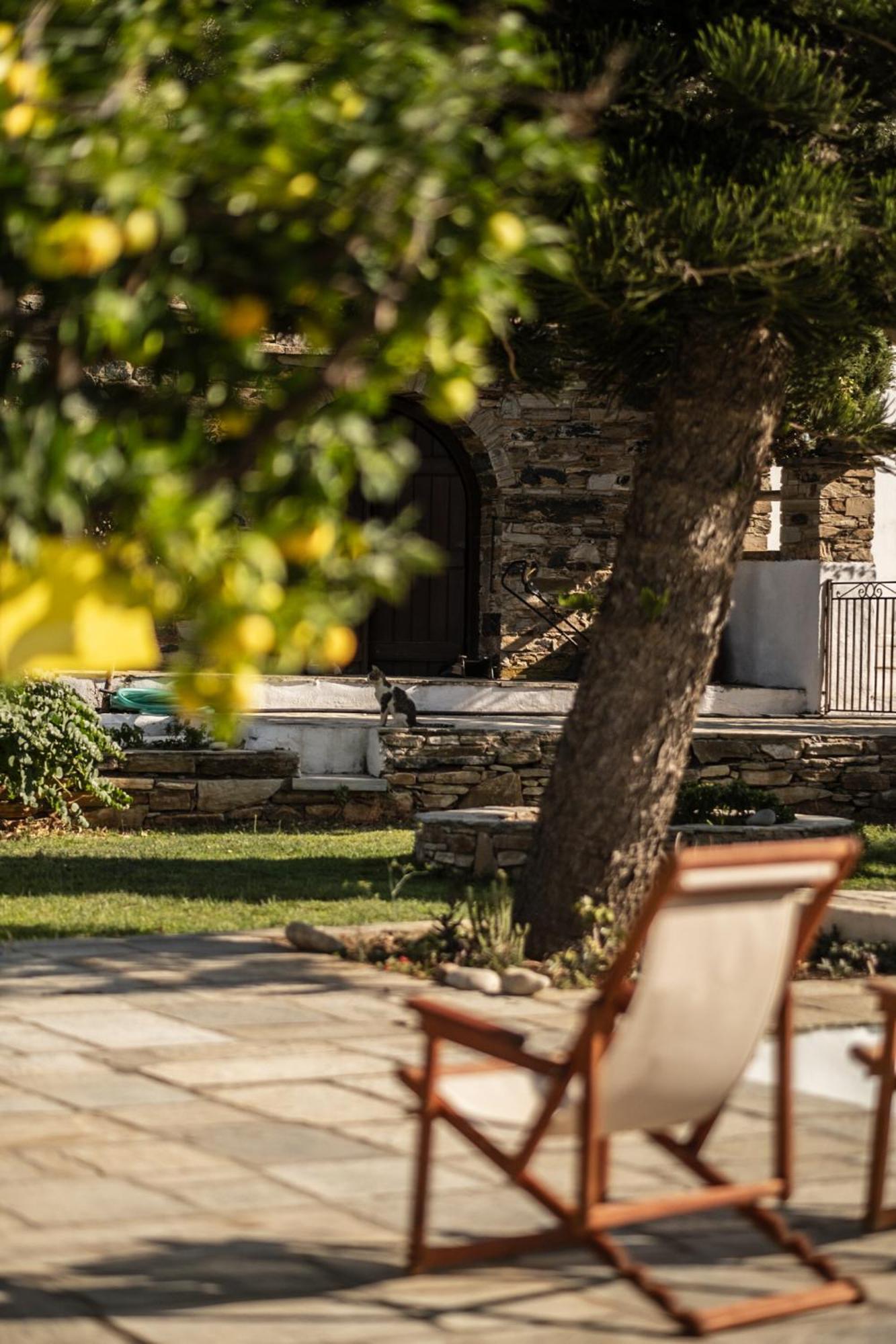 Romano garden house - land tales Agios Romanos Exterior foto